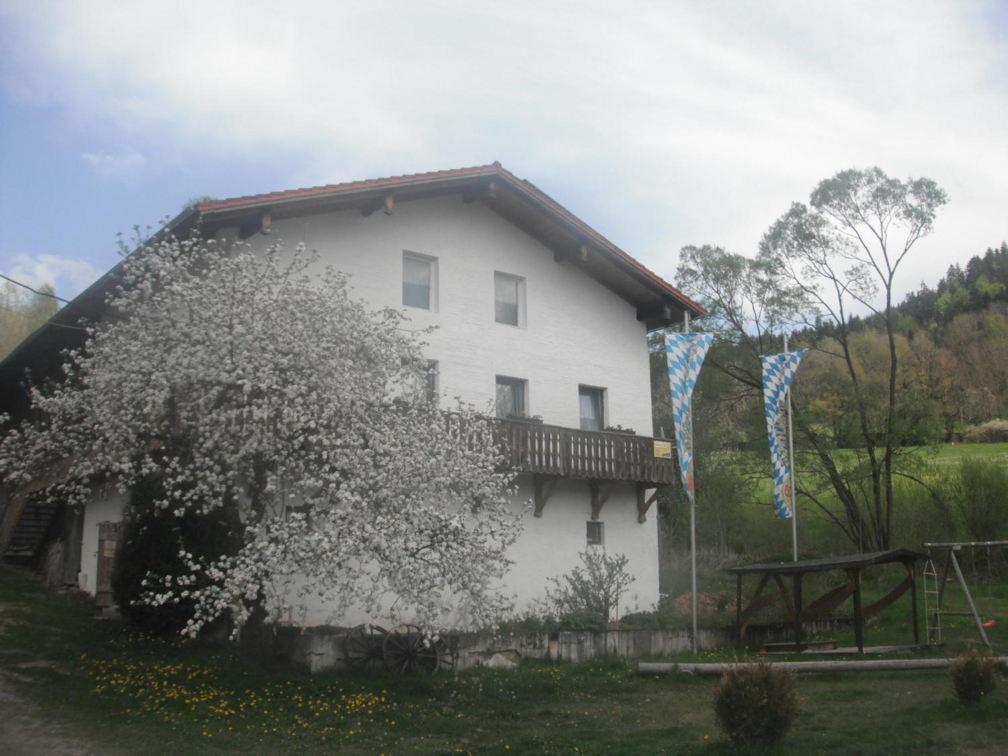 Gasthaus Zehrermuehle Schönberg Kültér fotó