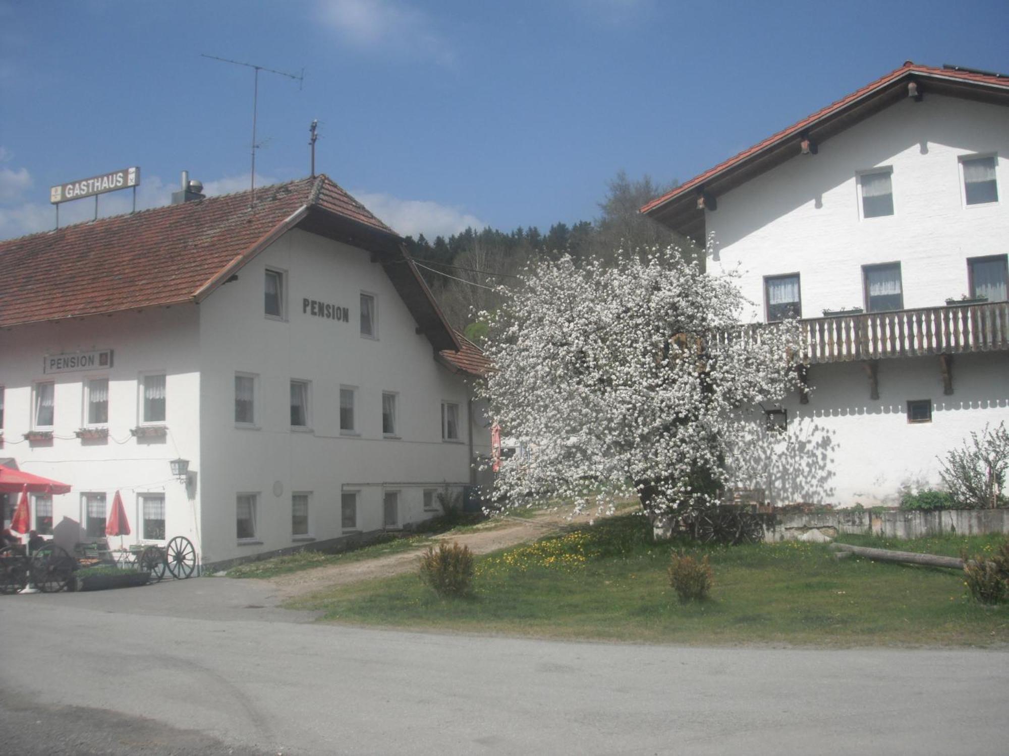 Gasthaus Zehrermuehle Schönberg Kültér fotó